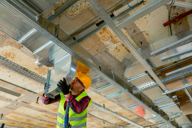 Best Furnace Cleaning in Meadow Woods, FL