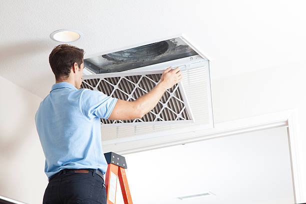 Best HVAC Equipment and Components in Meadow Woods, FL